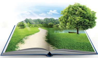 Dünya Hayatı Ne Kadar Kısa?