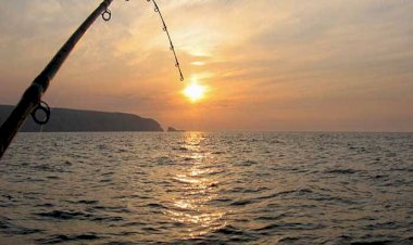 Balık Verme, Olta Ver...