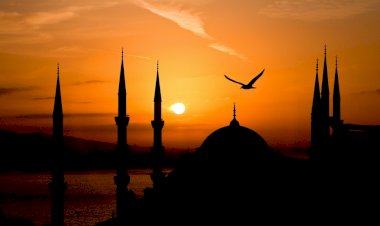 Allah’ın Dinine Ne Hizmetin Var?