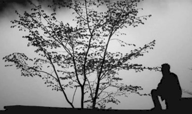 Gönül Bir Muhabbet İster...