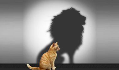 Kibirle Yürüyen...