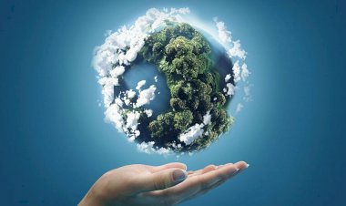 Kalbi Dünyaya Meyleden