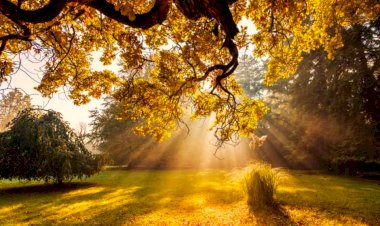 Geçen Yıllar Geri Gelse