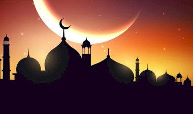 Elimden Bırakmadılar...