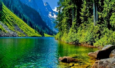 Yokluk Nedir Ey Sevgili?