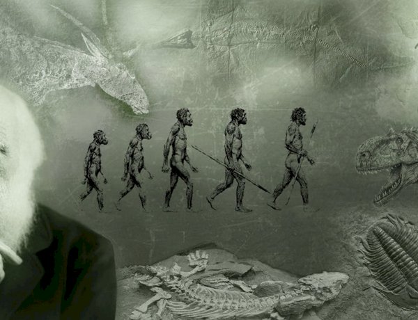 Teşekkürler Darwin(!)