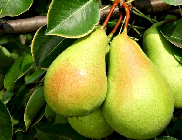 Armutun İbadete İhtiyacı Yok!