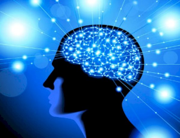 İslam Fıtratı ve İnkar Fıtratı